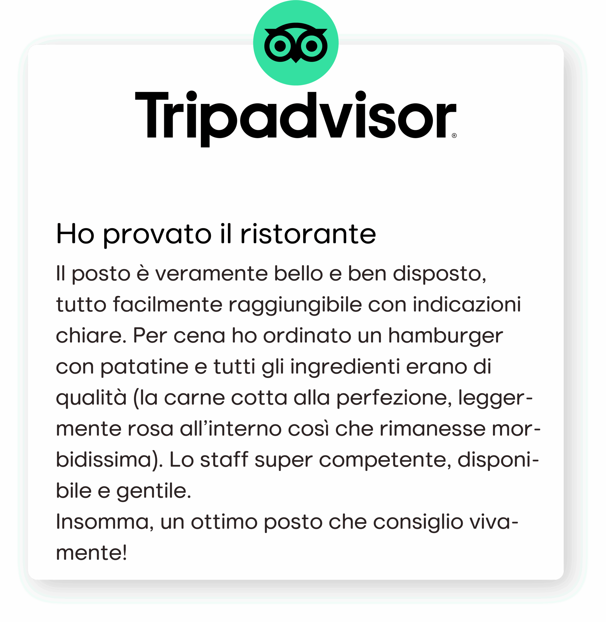 6 TripAdvisor